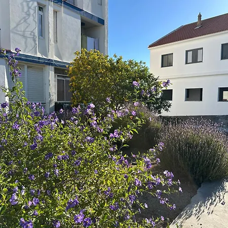 Homes Ocean Breeze Terrace 400 M Away From The Ocean