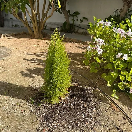 Homes Ocean Breeze Terrace 400 M Away From The Ocean البوفيرا
