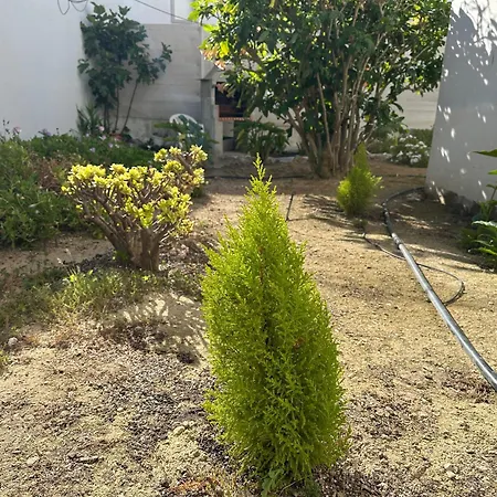 Homes Ocean Breeze Terrace 400 M Away From The Ocean شقة
