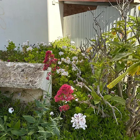 Homes Ocean Breeze Terrace 400 M Away From The Ocean *